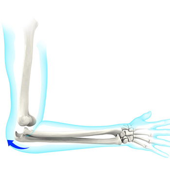 Elbow Instability