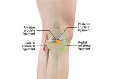 Ligament Injuries