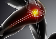 Physical Therapy for Knee