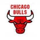 Chicago Bulls Logo