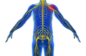 Peripheral Nerve Compression