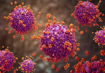 Ultra-selective aptamers give viruses a taste of their own medicine
