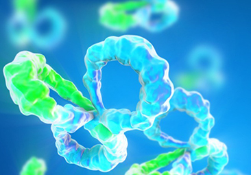 Broadly Neutralizing Antibody Helps Maintains Viral Suppression