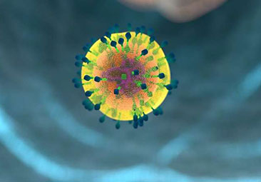 mRNA vaccines modified to include cytokine IL-12 enhance T cell response