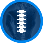 Spine