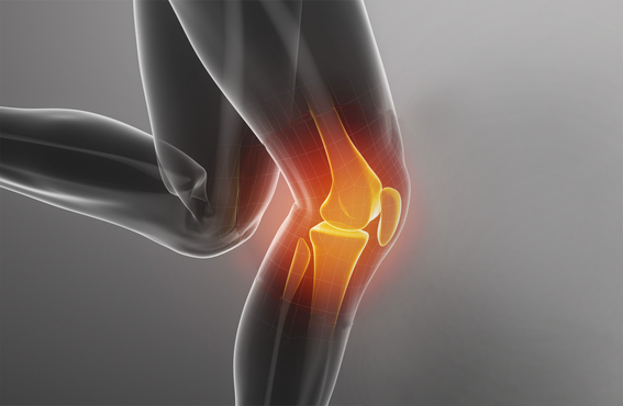 Knee