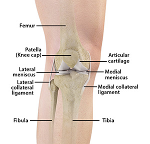 Unstable Knee
