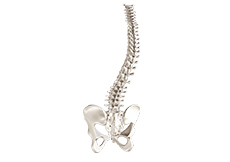 Spinal Deformity Surgery