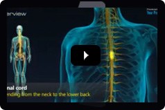 Paitent Education Videos