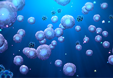 Adipose-Derived Stem Cell Therapy