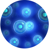 Regenerative Medicine