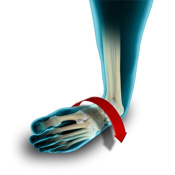 Ankle Instability