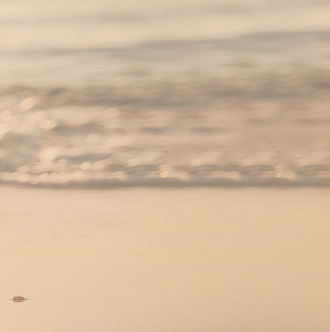 Kyle Natsuhara, M.D. - Fellowship-Trained Orthopedic Surgeon - Foot and Ankle Specialist