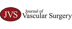 Journal of Vascular Surgery