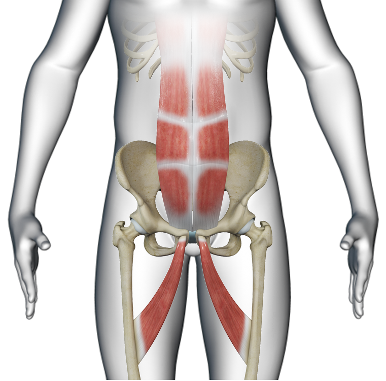 Sports Hernia