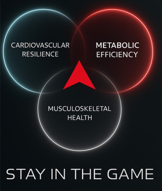 Excutive Wellness Program Picture