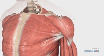 Picture of Shoulder Labrum Reconstruction