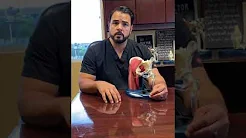Dr. Jimenez Explains Anterior Approach Hip Replacement