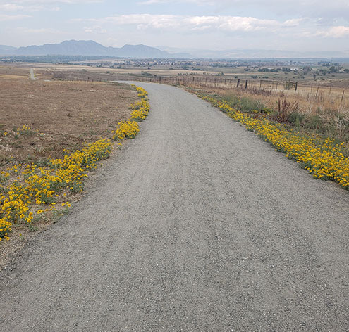 Events and Conferences1