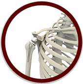 Reverse Total Shoulder Arthroplasty