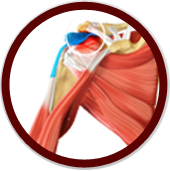 Rotator Cuff Repair