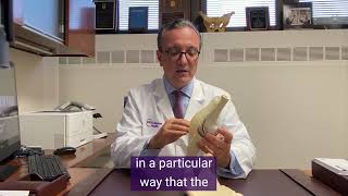 How do you perform a Knee Replacement?