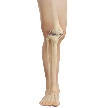 Knee Dislocation