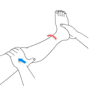 Nonoperative Treatments for ACL Injuries
