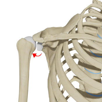 Posterior Shoulder Instability