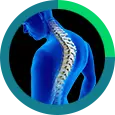 spine-icon