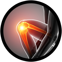 Knee Logo
