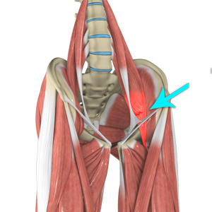 Hip and Groin Disorders