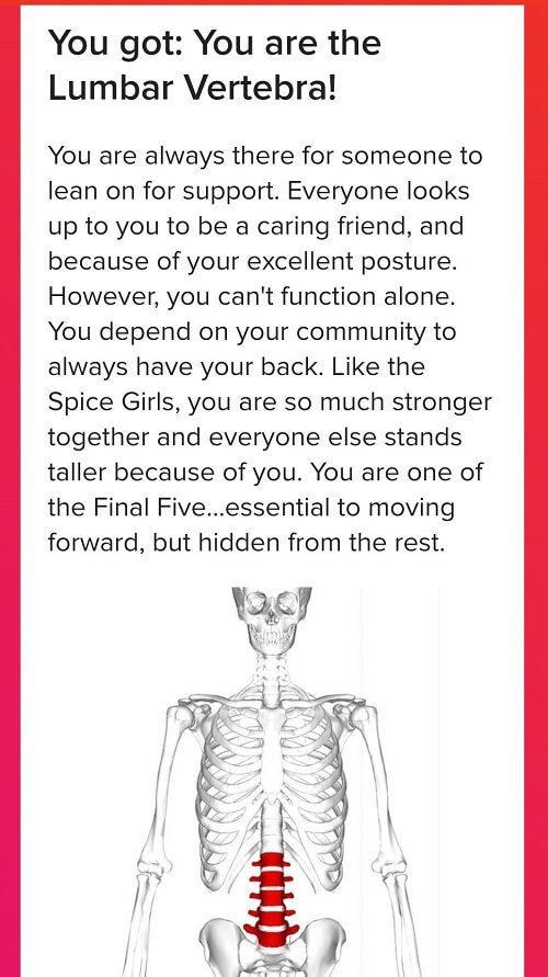 If you were a bone, which bone would you be? 03