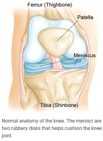 Meniscus Tears Anatomy