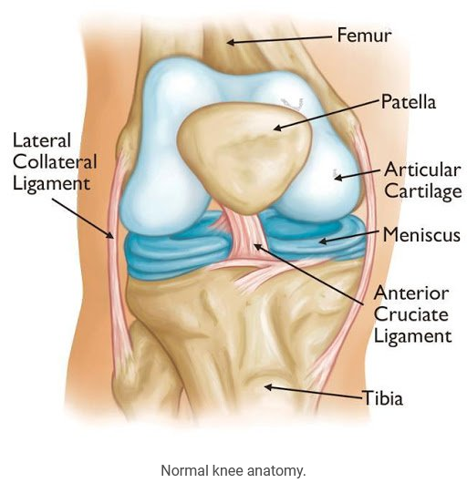 Total Knee Replacement Resource
