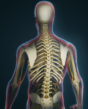 Non-Operative Treatments for Lower Back Injuries
