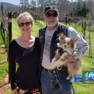 Alternative to opioids