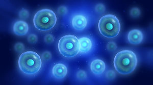 Orthobiologics Treatment for Shoulder