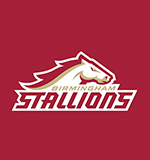 Birmingham Stallions Logo