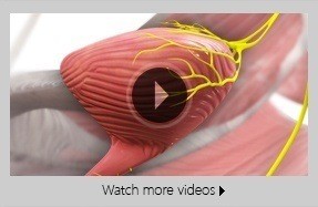 Patient Education Videos