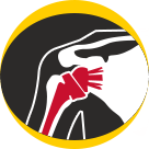 Reverse Shoulder Replacement New