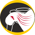 Rotator Cuff Tears New