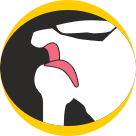 Shoulder Instability New