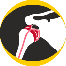Shoulder Labral Tears New
