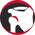 Shoulder Labrum Reconstruction