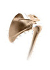 Shoulder