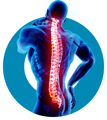 Service General Spine