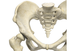 Developmental Dysplasia