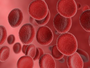  Platelet Rich Plasma 
