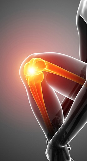 Knee Service